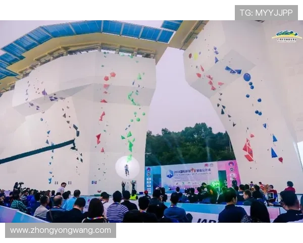 K8体育新版优化界面设计，提升用户体验，助力体育爱好者轻松畅享精彩赛事内容